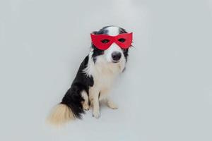 grappig portret van schattige hond border collie in superheld kostuum geïsoleerd op een witte achtergrond. puppy met rood superheldenmasker in carnaval of halloween. rechtvaardigheid help kracht concept. foto