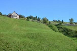 foto van de Karpaten bergen, welke hebben een veel van naald- bomen. Woud en berg landschap weiden in de vroeg herfst seizoen