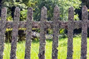 heel oud hout piket schutting, bemost oud houten hek in de Woud park, mos foto