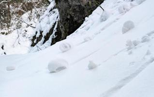 dichtbij omhoog schot van sneeuw rol foto