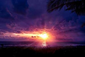 tropisch zonsondergang Bij kust met silhouet van palm boom en zonnestralen foto