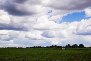 de wit auto Aan de land weg tussen groen velden met een wolk lucht Aan een achtergrond. Rusland, Siberië. foto