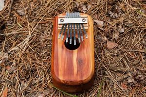 traditioneel Afrikaanse musical instrument kalimba Aan een achtergrond van naalden en kegels in een Woud, top visie. foto