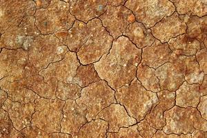 droog gebarsten bruin steenachtig bodem, top visie. foto