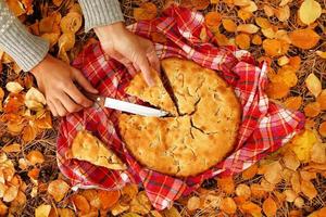 top visie Aan handen van vrouw met stukken van appel taart Aan een rood geruit handdoek en droog geel herfst bladeren. foto