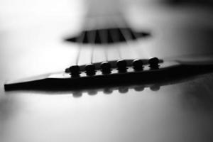 zwart-witte gitaar