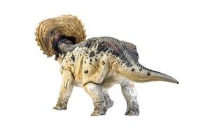 dinosaurus , triceratops Aan geïsoleerd achtergrond knipsel pad foto