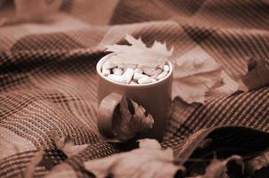 herfst bladeren en heet stomen kop van koffie leugens Aan geruit plaid buitenshuis foto
