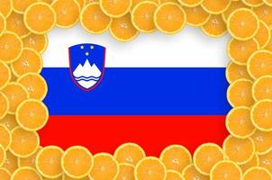 Slovenië vlag in vers citrus fruit plakjes kader foto