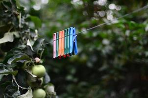 wasknijpers Aan een touw hangende buiten huis en appel boom foto