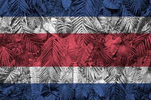 costa rica vlag afgebeeld Aan veel doorbladert van monstera palm bomen. modieus modieus backdrop foto