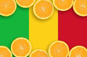 Mali vlag in citrus fruit plakjes horizontaal kader foto