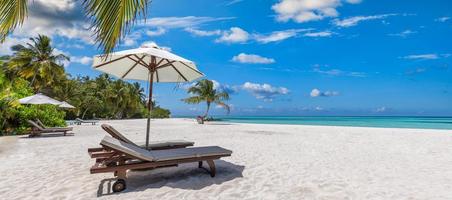 mooi tropisch strand spandoek. samen, paar stoelen kokosnoot palmen reizen toerisme breed panorama vakantie achtergrond. verbazingwekkend zonnig strand landschap. luxe eiland toevlucht vakantie. rustig zee zand lucht foto