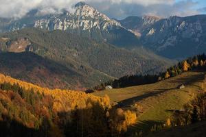 een charmant berg landschap in de bucegi bergen, Karpaten, Roemenië. herfst natuur in moeciu de zo, Transsylvanië foto