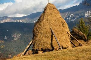 een charmant berg landschap in de bucegi bergen, Karpaten, Roemenië. herfst natuur in moeciu de zo, Transsylvanië foto