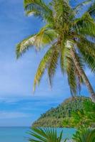 mooi tropisch strand net zo zomer zeegezicht met palm boom en blauw lucht voor reizen in vakantie kom tot rust tijd, op natuur achtergrond foto