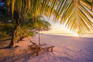 verbazingwekkend vakantie strand. paar stoelen samen door de zee spandoek. zomer romantisch vakantie huwelijksreis concept. tropisch eiland landschap. rustig kust panorama, kom tot rust zand kust horizon, palm bladeren