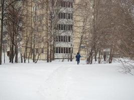 winter dag. bomen onder de sneeuw. natuur in de stad. stedelijk omgeving. foto