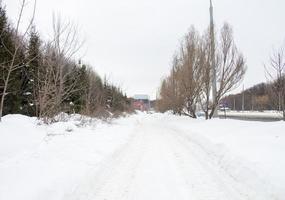 winter dag. bomen onder de sneeuw. natuur in de stad. stedelijk omgeving. na een sneeuwval. foto