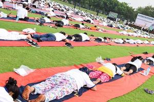 groep yoga oefening sessie voor mensen van verschillend leeftijd groepen Bij krekel stadion in Delhi Aan Internationale yoga dag, groot groep van volwassenen Bijwonen yoga sessie foto