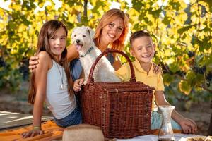 picknick Bij wijngaard foto