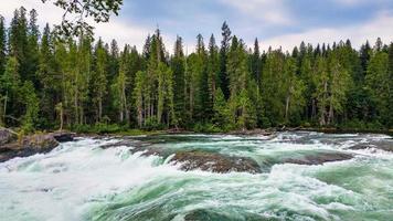 time-lapse van een rivier in de buurt van een bos foto