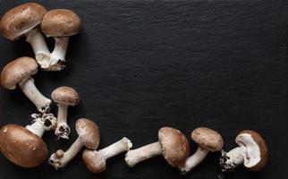 champignons op leisteen achtergrond foto