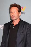 los angeles, 16 jun - david duchovny bij de première van het waterman seizoen 2 aankomsten in het paley center for media op 16 juni 2016 in beverly hills, ca foto