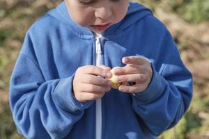 weinig jongen Holding een hel appel in zijn handen, detailopname foto