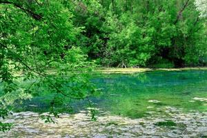 blauw meer in de Woud. mooi landschap met een meer. foto