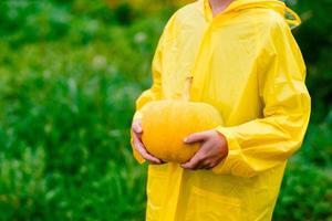 jongen in een geel regenjas houdt een geel pompoen. voorbereidingen treffen voor halloween. pompoen oogst. pompoen in de handen van een jongen tegen een achtergrond van groen. foto