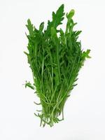 bundel van vers rucola Aan wit achtergrond foto