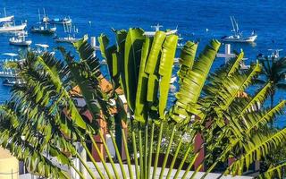 mooi stad en zeegezicht landschap panorama en visie puerto escondido Mexico. foto