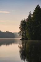 steen rotsen met coniferen door de meer in Zweden in klein en. wild natuur in Scandinavië foto