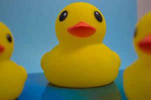 mooi geel rubber bad speelgoed- eenden zwemmen Aan een blauw water achtergrond foto