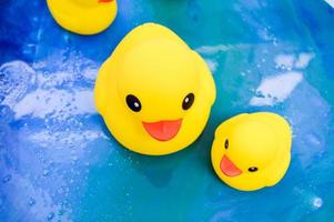 helder geel eenden zwemmen in een vijver van epoxy. speelgoed- eenden gemaakt van kwaliteit rubber voor veilig leerzaam spellen met kinderen. bad speelgoed voor volwassenen en kinderen foto