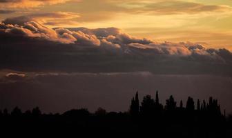 silhouet van bomen onder avondrood foto