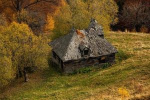 een charmant berg landschap in Karpaten, Roemenië. herfst natuur in bravo, Europa foto