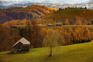 een charmant berg landschap in Karpaten, Roemenië. herfst natuur in bravo, Europa foto