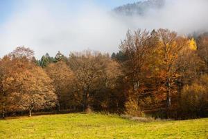 een charmant berg landschap in Karpaten, Roemenië. herfst natuur in bravo, Europa foto