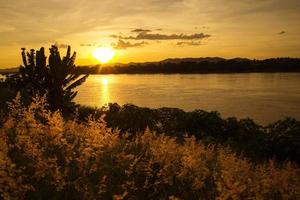 mooi landschap zonsondergang rivier- geel lucht Bij Mekong rivier- en silhouet gras veld- Aan rivieroever foto