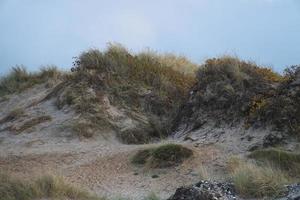 vervuilen Aan de strand met gras en zand in Denemarken. wandelen Aan vakantie Aan de kust foto