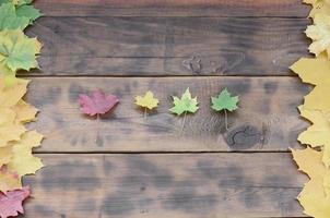 sommige van de vergeling gedaald herfst bladeren van verschillend kleuren Aan de achtergrond oppervlakte van natuurlijk houten borden van donker bruin kleur foto