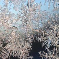 sneeuwvlokken vorst rijmen macro Aan venster glas deelvenster foto