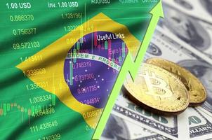 Brazilië vlag en cryptogeld groeit neiging met twee bitcoins Aan dollar rekeningen foto