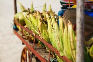 veel maïs kolven in de kar. rijen van maïs in de schelp, leggen in stapels. Indisch, Aziatisch straat voedsel. strand Bij goa zonsondergang foto