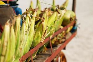 veel maïs kolven in de kar. rijen van maïs in de schelp, leggen in stapels. Indisch, Aziatisch straat voedsel. strand Bij goa zonsondergang foto