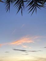 zonsondergang lucht met palm bladeren foto