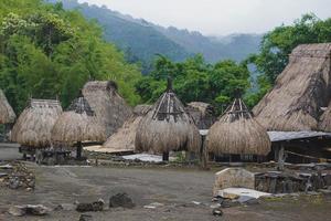 bena een traditioneel dorp met gras hutten van de nga's mensen in flores in de buurt bajawa, Indonesië. veel klein huizen zijn gemaakt van natuurlijk onderdelen Leuk vinden hout en rietje. reusachtig vulkaan in de terug foto