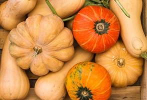 verscheidenheid van vers squash foto